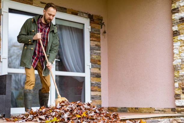 Debris Removal in Mojave, CA